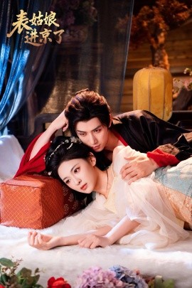 表姑娘进京了全集
