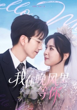 我在晚风里等你全集