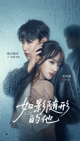 如影随形的他全集