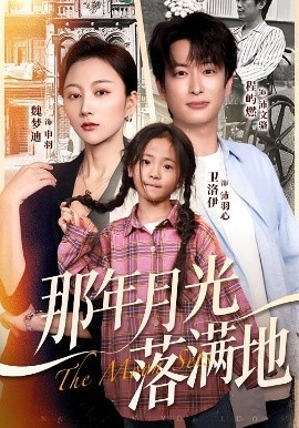 那年月光落满地全集