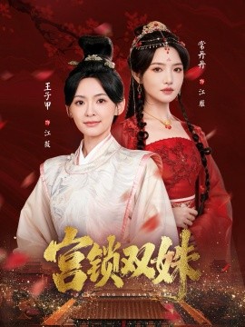 宫锁双姝全集