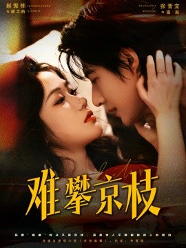 难攀京枝全集