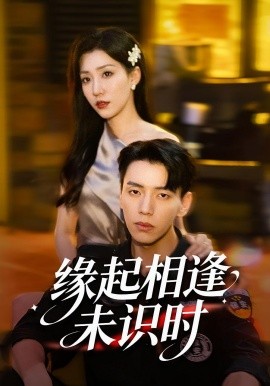 缘起相逢未识时全集