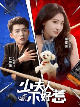 少夫人不好惹全集