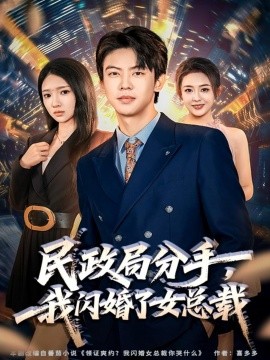 民政局分手，我闪婚了女总裁全集