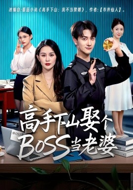 高手下山娶个BOSS当老婆全集