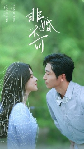 非婚不可短剧全集