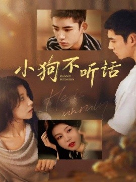 小狗不听话全集