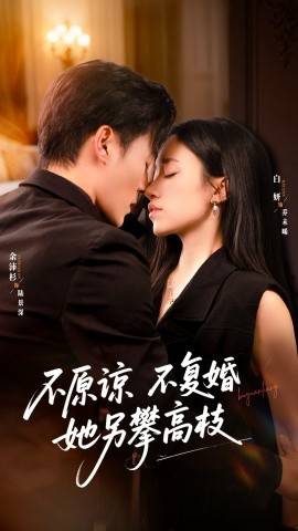 不原谅不复婚她另攀高枝全集
