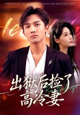 出狱后捡了高冷妻全集