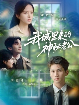 我城里来的神秘老公全集