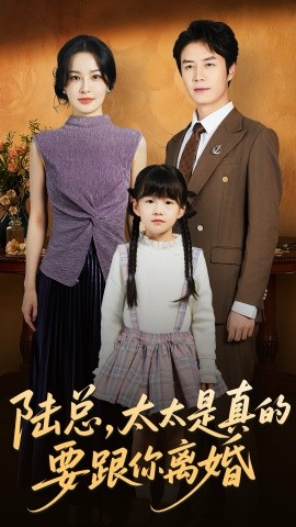 陆总太太是真的要跟你离婚全集