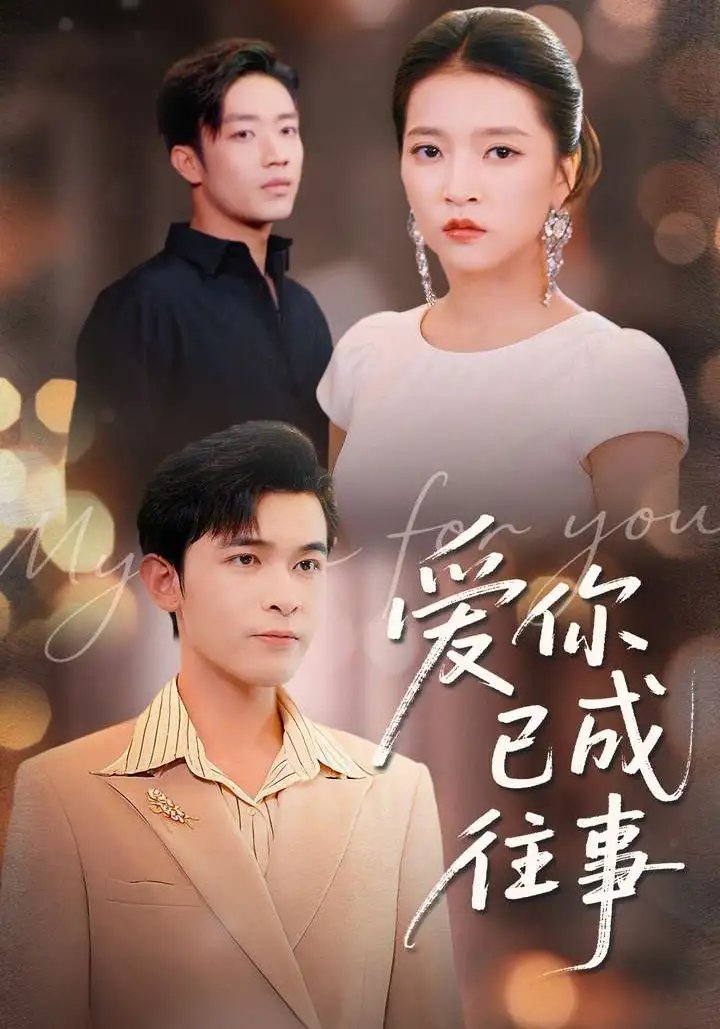 爱你已成往事全集