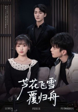 芦花飞雪覆归舟全集