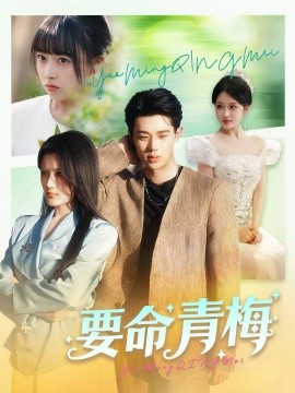 要命青梅全集