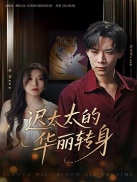 迟太太的华丽转身全集