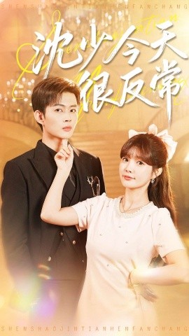 沈少今天很反常全集