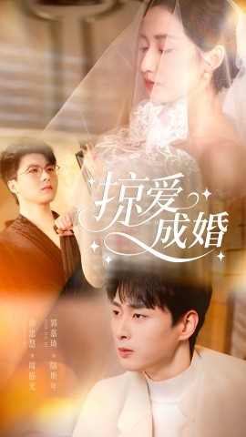 掠爱成婚全集