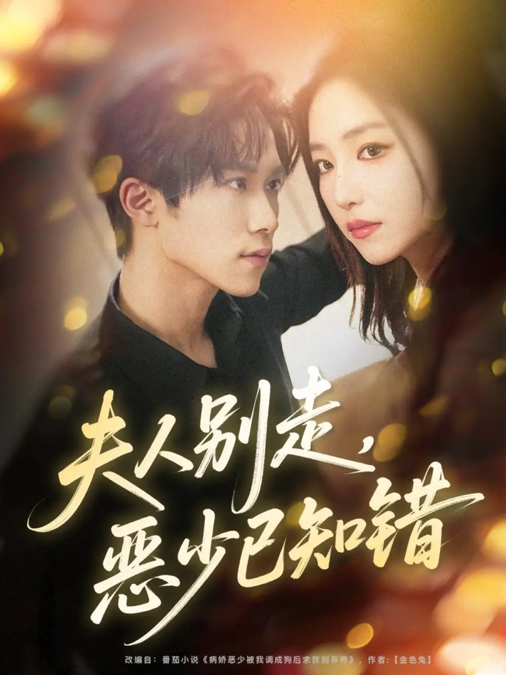 夫人别走恶少已知错全集