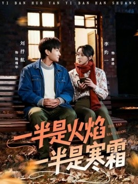 一半是火焰一半是寒霜全集