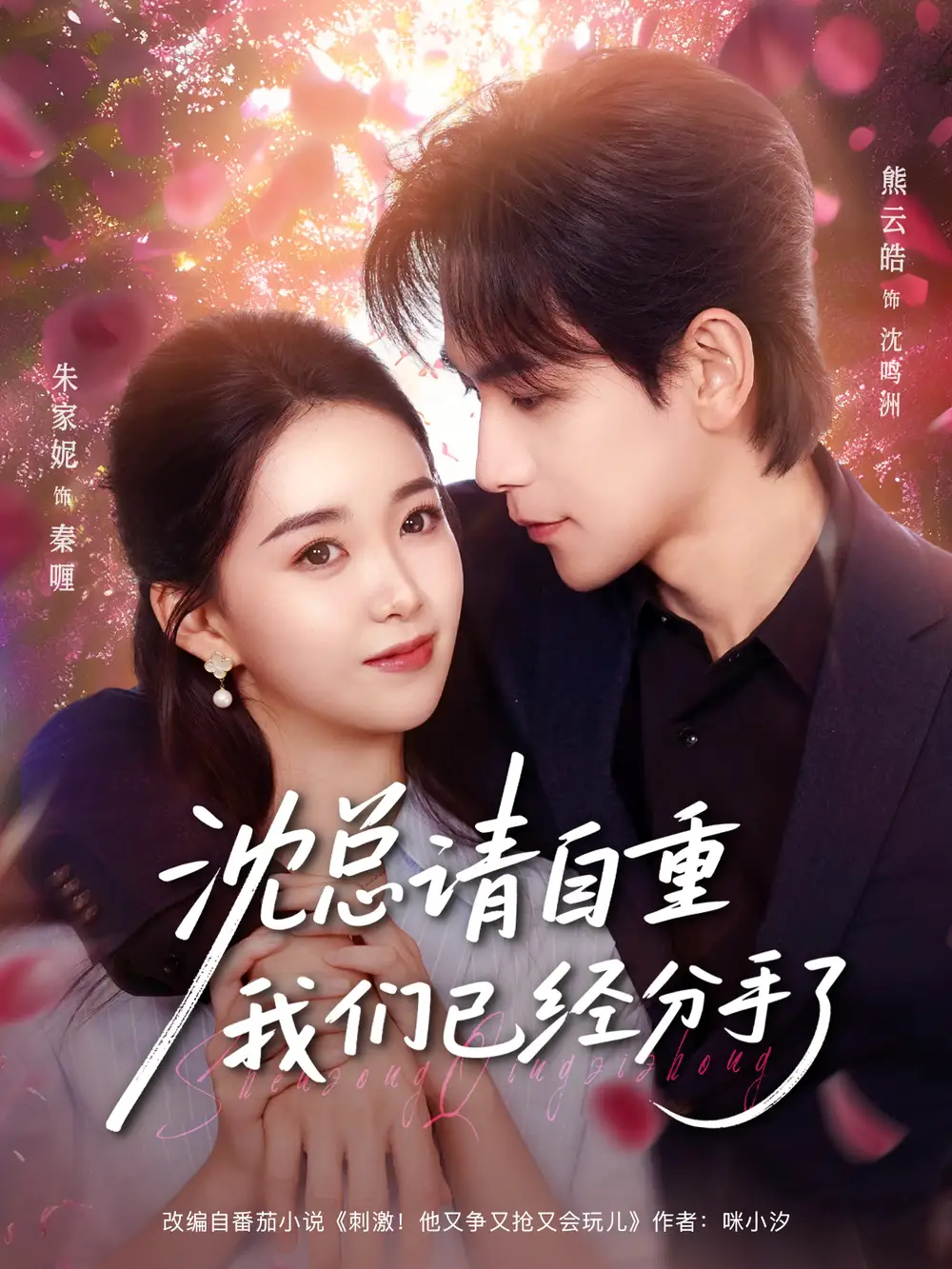 沈总请自重我们已经分手了全集