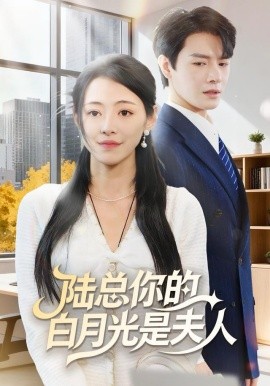 陆总你的白月光是夫人全集