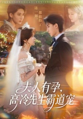 夫人有孕，高冷先生霸道宠全集