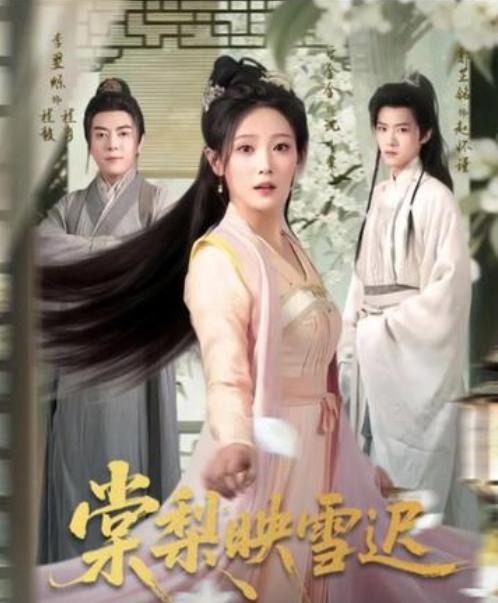 棠梨映雪迟全集