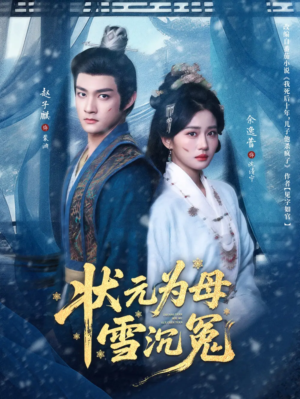 状元为母雪沉冤全集