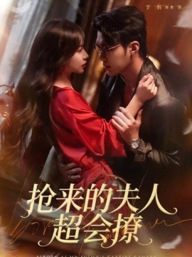 抢来的夫人超会撩全集