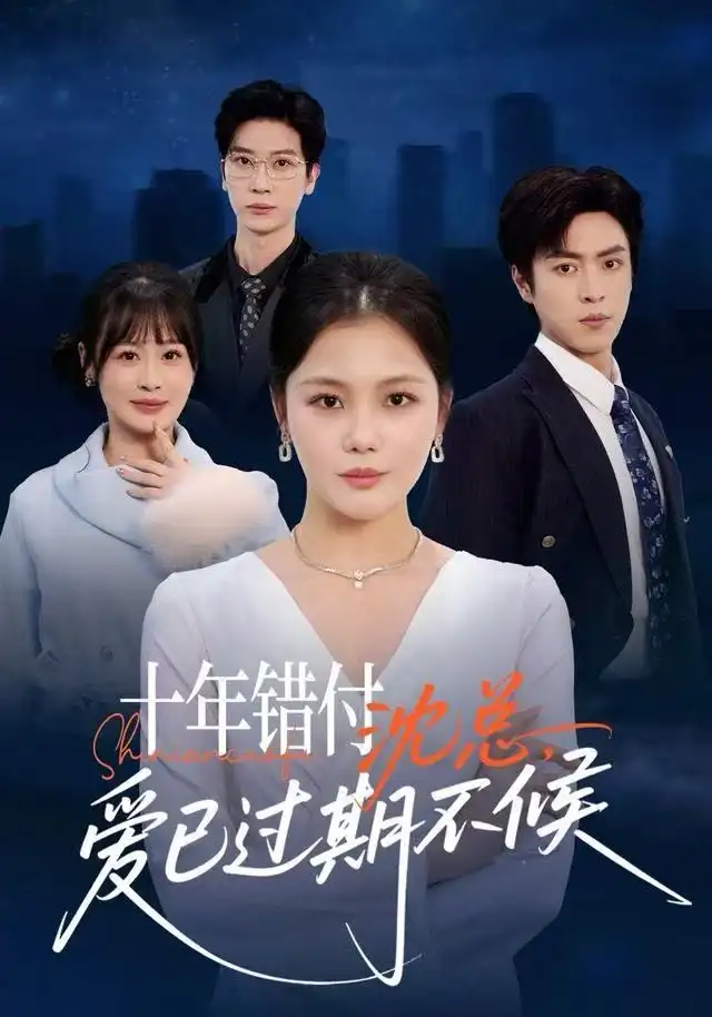 十年错付：沈总，爱已过期不候全集