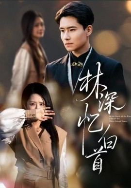 林深忆白首全集