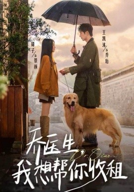 乔医生，我想帮你收租全集