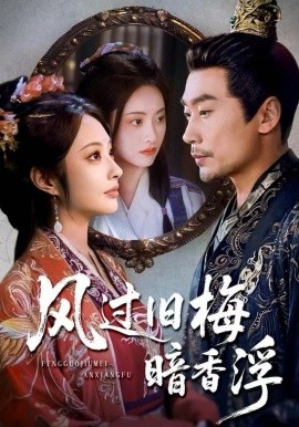 风过旧梅暗香浮 枯梅待故人全集