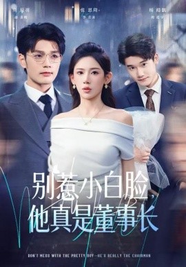 别惹小白脸，他真是董事长全集