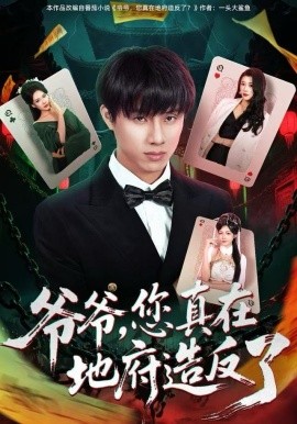 爷爷，您真在地府造反了全集