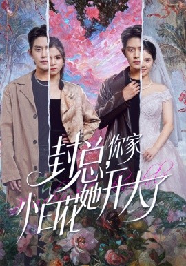 封总，你家小白花她开大了全集