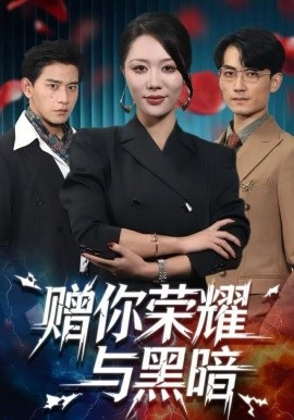 赠你荣耀与黑暗全集