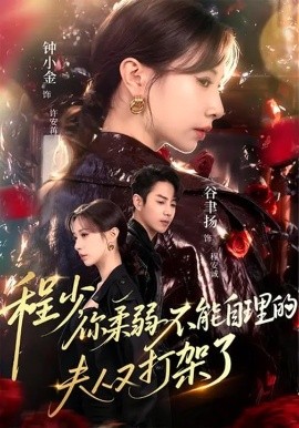 程少你柔弱不能自理的夫人又打架了全集