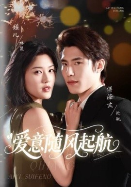 爱意随风起航全集
