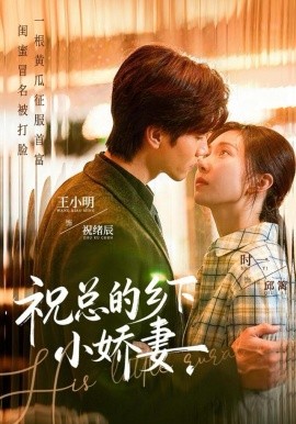 祝总的乡下小娇妻全集