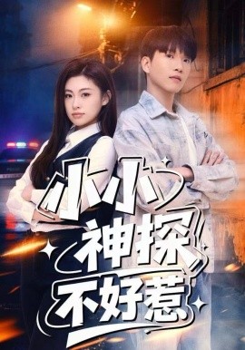小小神探不好惹全集