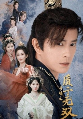 夺嫡之质子无双全集