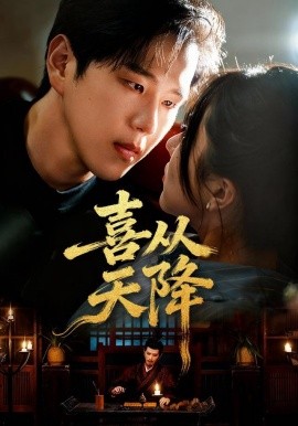 喜从天降全集