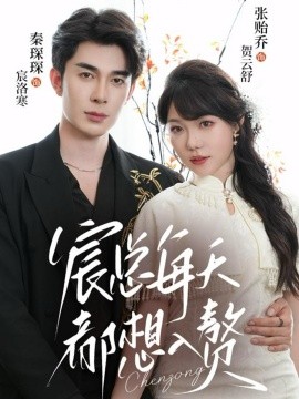 宸总每天都想入赘全集