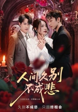 人间久别不成悲全集
