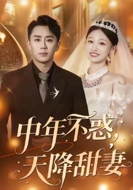 中年不惑，天降甜妻全集