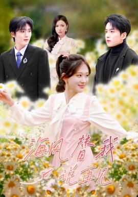 海风替我说再见全集