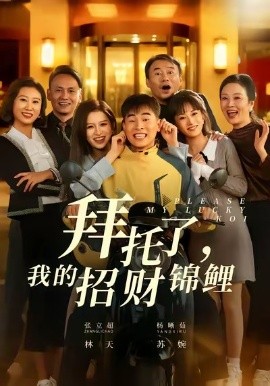 拜托了，我的招财锦鲤全集