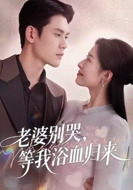 老婆别哭，等我浴血归来全集